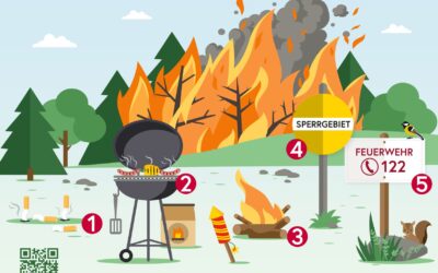 Das Waldbrandrisiko steigt – 8 von 10 Waldbränden von Menschen verursacht