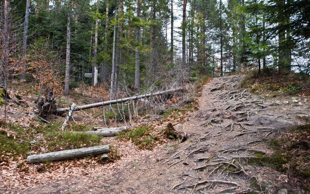 Straßensperre Weerbergstraße