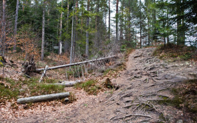 Straßensperre Weerbergstraße