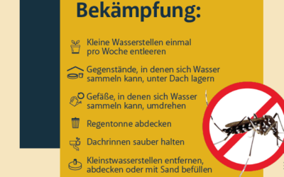 Tigermücke – Bekämpfung eines potentiellen Überträgers von Infektionskrankheiten
