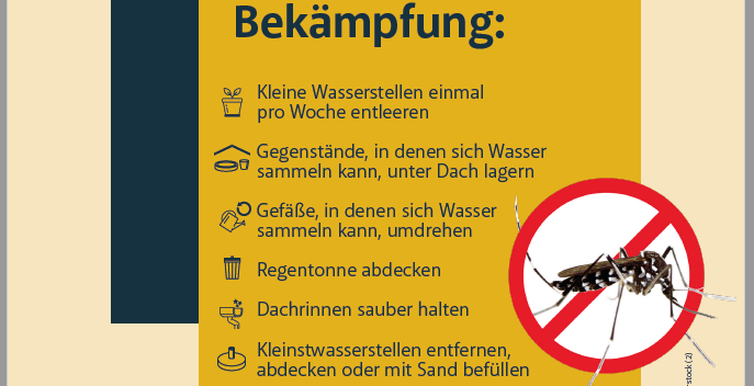 Tigermücke – Bekämpfung eines potentiellen Überträgers von Infektionskrankheiten